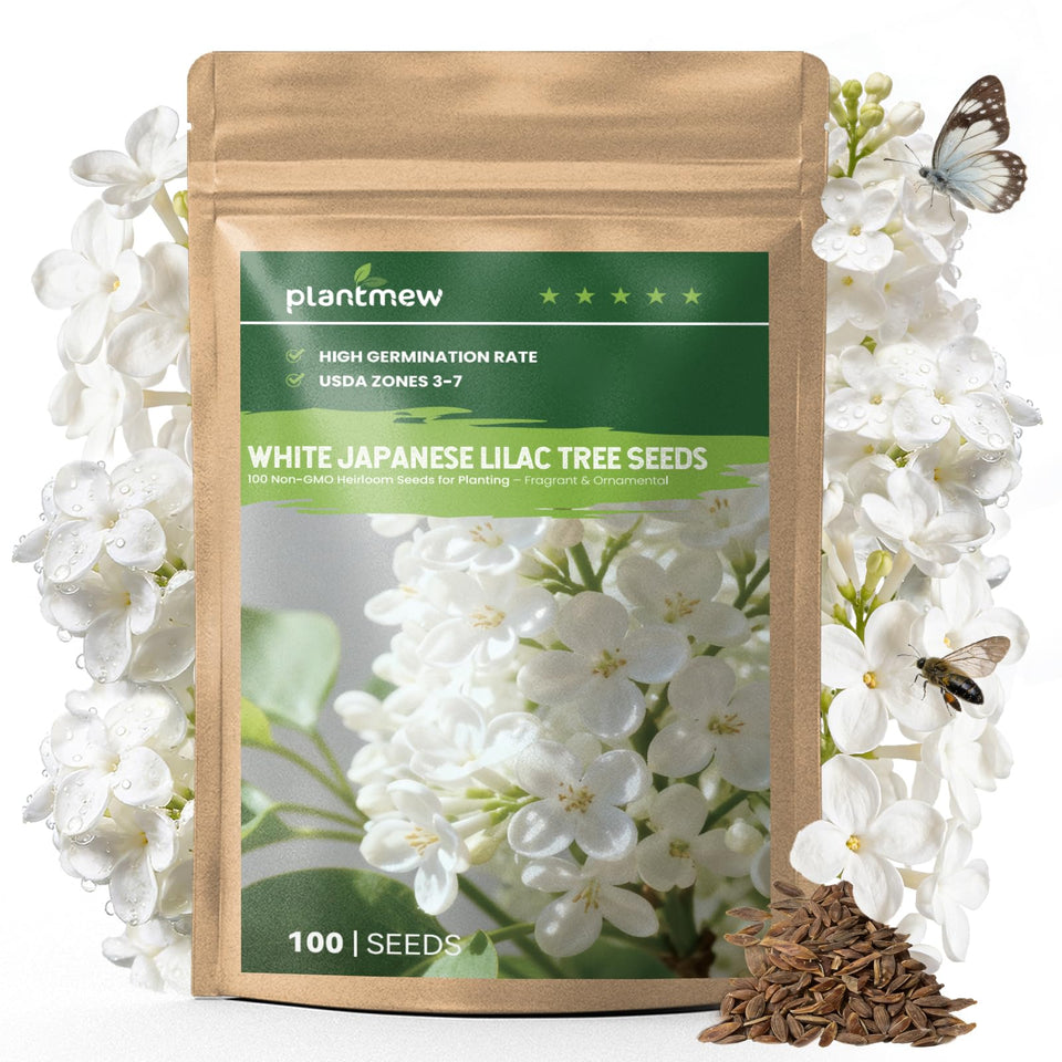 PLANTMEW White Japanese Lilac seeds pack front view ready to grow.