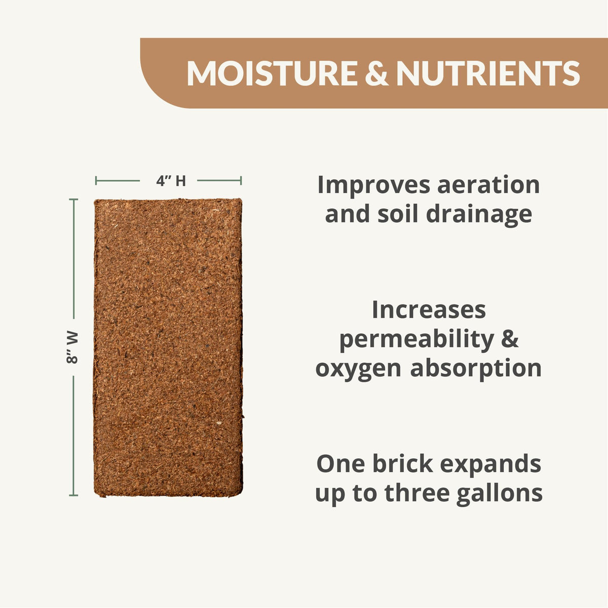 Plantonix Char Bliss 1qt bottle adds biochar for soil structure.