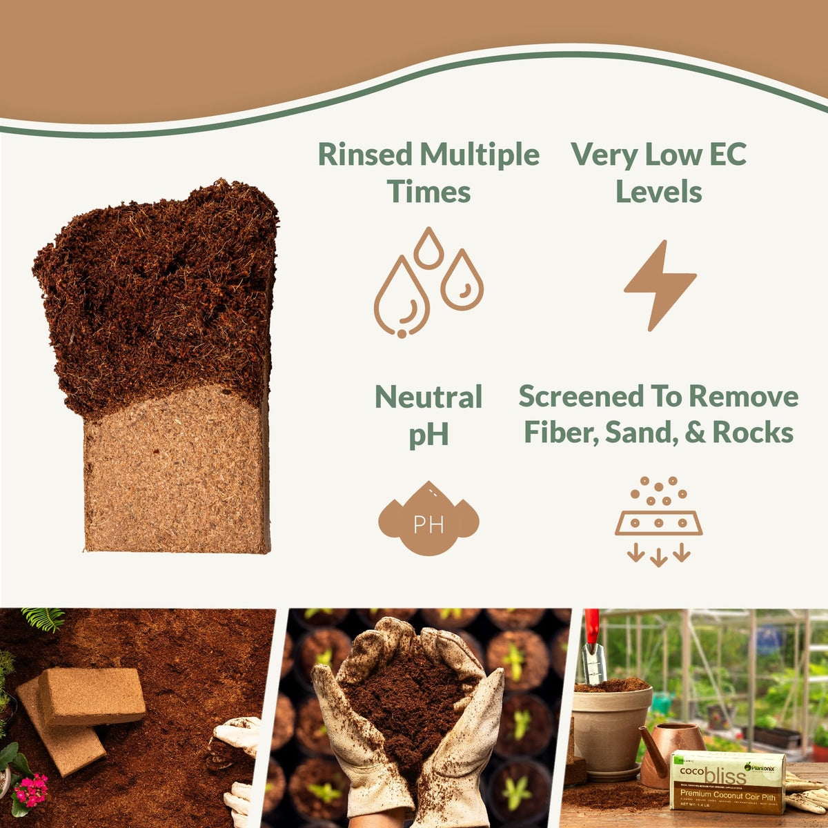 Plantonix Coco Coir Brick 650g expands into a moisture-retentive growing medium.