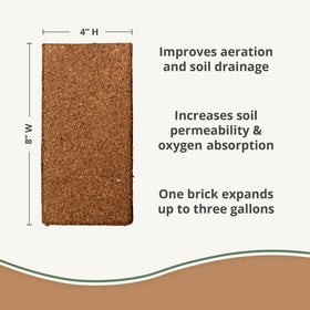 Plantonix hydrated coco coir bricks expanding in water for superior seedling medium