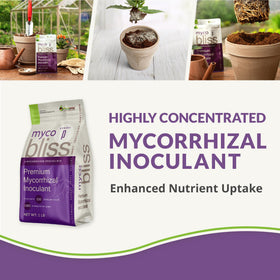 Close-up of Plantonix Myco Bliss granules showing high propagule concentration for robust roots.