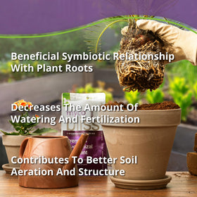 Roots receiving Plantonix Myco Bliss inoculant promoting nutrient uptake.