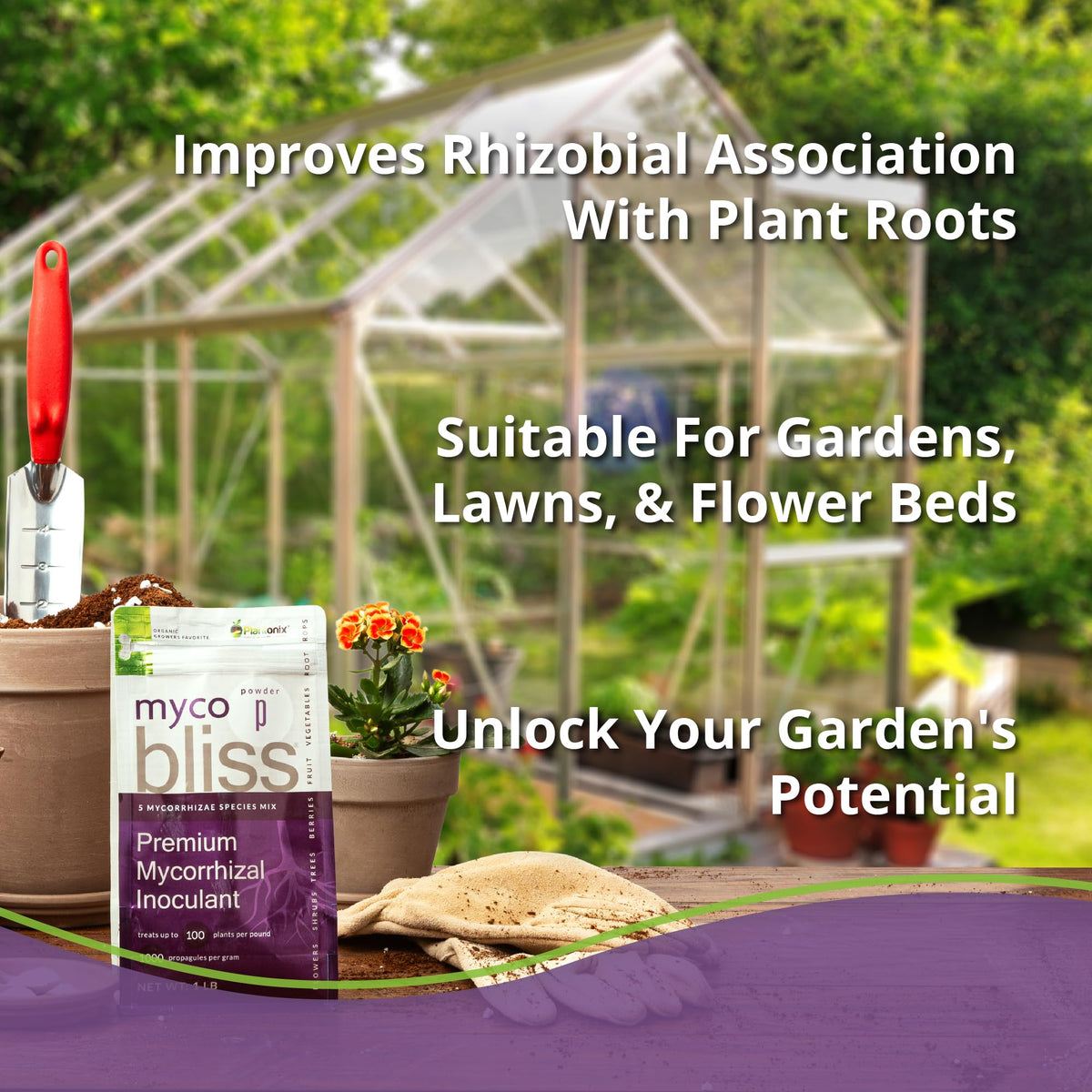 Soil mix with Plantonix Myco Bliss powder supporting moisture retention.
