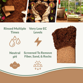 Plantonix perlite bliss for improved drainage and aeration in seed starting mix