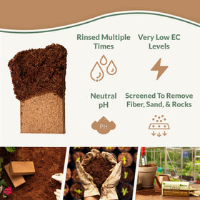 Plantonix Worm Bliss Qt rich in nutrients for soil vitality