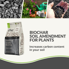Plantonix Worm Bliss with seedlings thriving in enriched soil.
