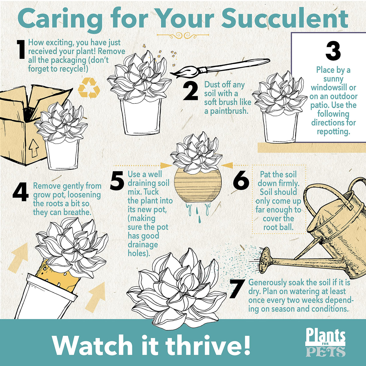 Plants for Pets 2-inch grower pots highlight beginner-friendly care for busy homes.