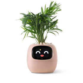 PLANTSIO Ivy AI desk companion with expressive gestures adds warmth to your workspace