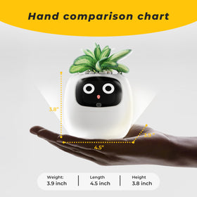 PLANTSIO Ivy app remote view showing real-time plant health and reminders