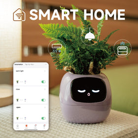 Plantsio Ivy automatic watering system keeps plants hydrated