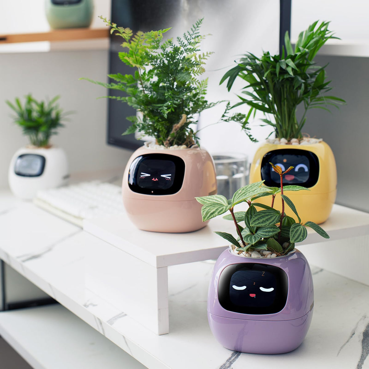 PLANTSIO Ivy desk-setup yellow design fits modern spaces