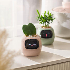 PLANTSIO Ivy indoor planter supports real-time care via app and Wi-Fi
