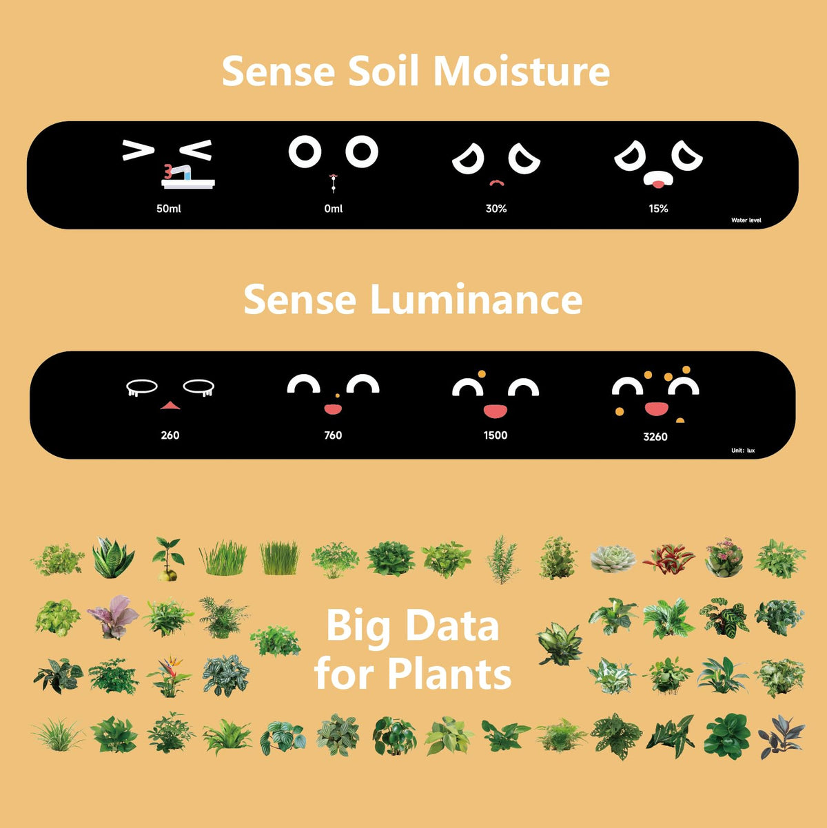 Plantsio Ivy multi function display modes for time and weather