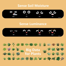 Plantsio Ivy multi function display modes for time and weather