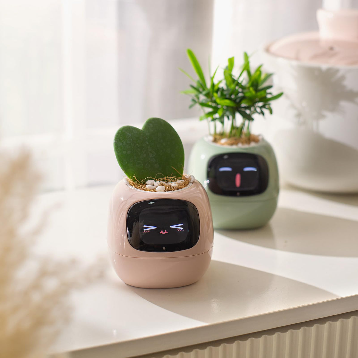 Plantsio Ivy sensor panel close up monitoring soil and light