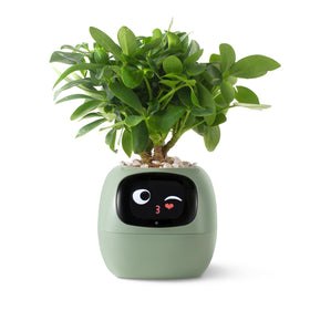 Plantsio Ivy smart planter shows gesture interaction for intuitive plant care