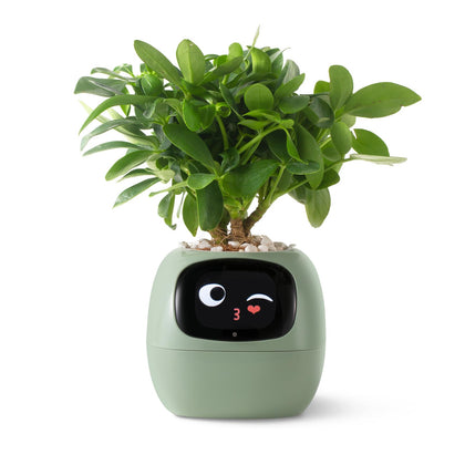 Plantsio Ivy smart planter shows gesture interaction for intuitive plant care
