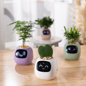PLANTSIO Ivy makes a unique gift for tech lovers and plant enthusiasts