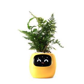 PLANTSIO Ivy watering system close-up enabling precise plant care