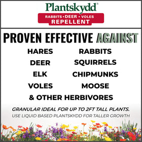 Plantskydd ground-dusting application around flowers and shrubs.