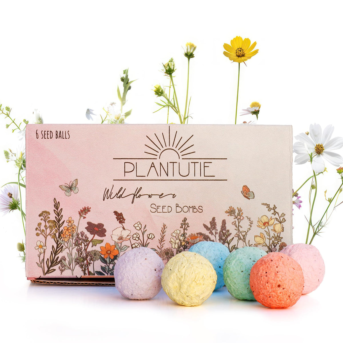Plantutie seed bomb gift box front view showcasing six colorful blooms.