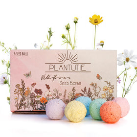 Plantutie seed bomb gift box front view showcasing six colorful blooms.