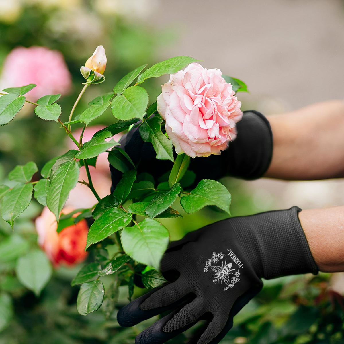 Easy to clean and quick-dry Pleneal gloves after outdoor use.