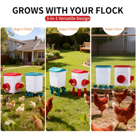 PlentiVive adjustable legs setup for chicks growing into hens.