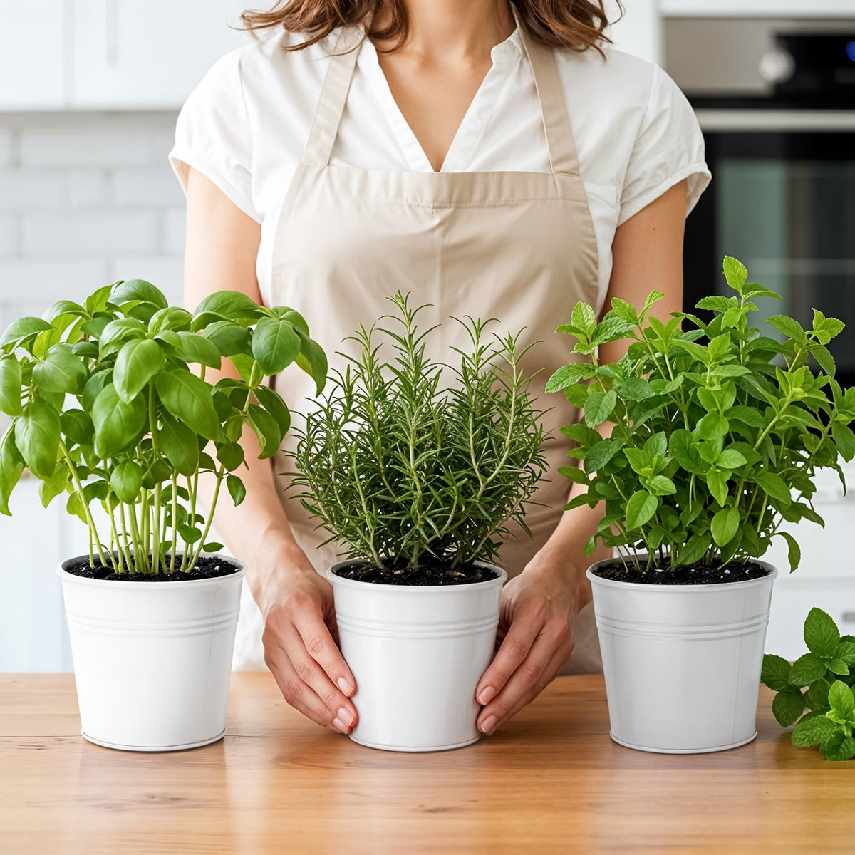 Plexon Durable Metal Tray and Pots; sturdy kit for everyday herb gardening.