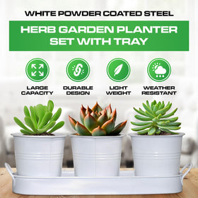 Plexon Indoor Garden Kit Window Sill; perfect for growing basil and mint at home.