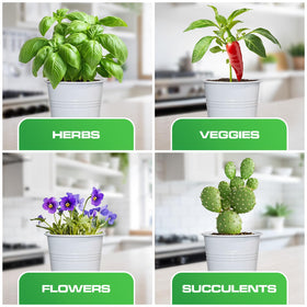 Plexon Kitchen Window Decor Set; keeps herbs within reach while styling your counter.