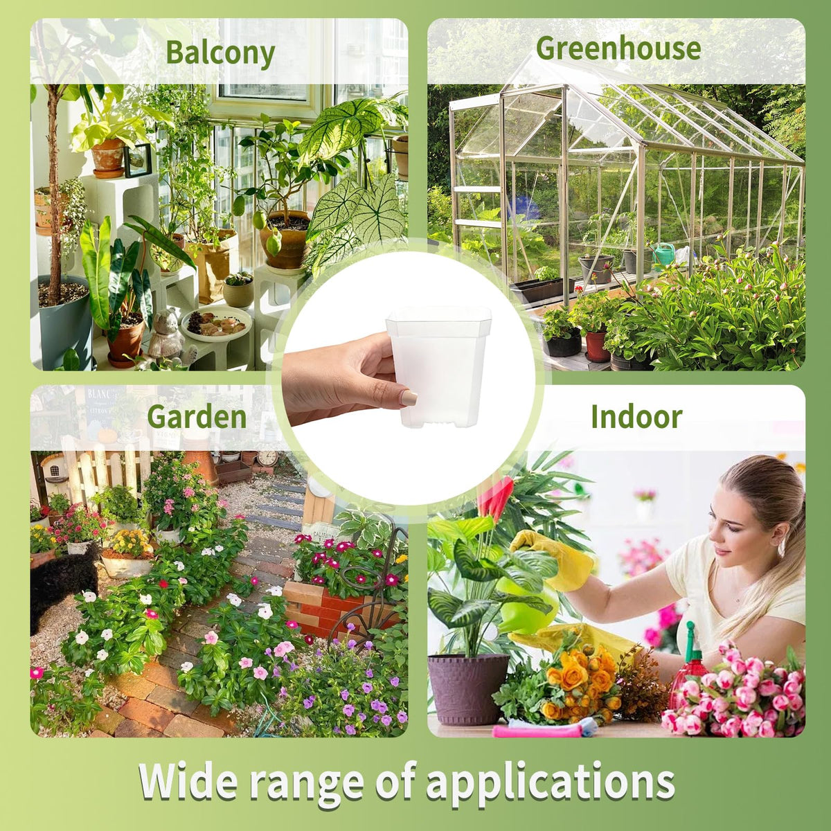 Plgardpo clear square nursery pot in use with seedlings on balcony and windowsill.