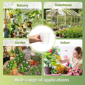 Plgardpo clear square nursery pot in use with seedlings on balcony and windowsill.