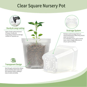 Plgardpo clear square nursery pot side view highlights transparent walls for root inspection.