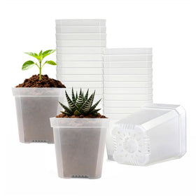 Plgardpo clear square nursery pot top view shows compact seed starter design for easy monitoring.