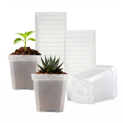 Plgardpo clear square nursery pot top view shows compact seed starter design for easy monitoring.
