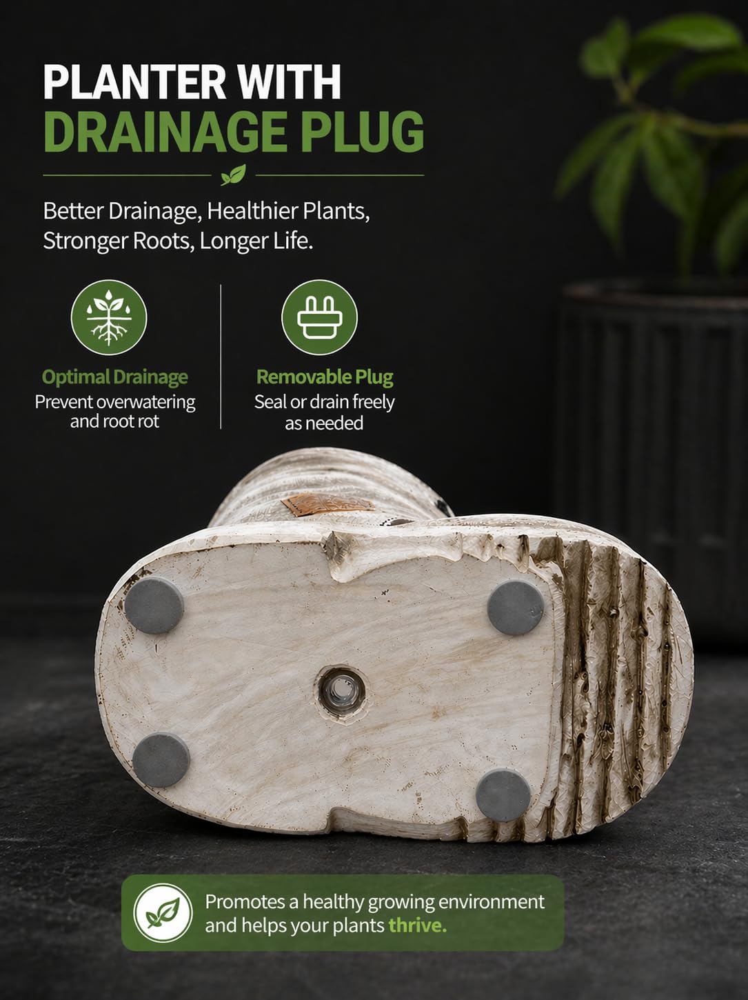 PlotX gnome planter on windowsill showcases small plants with rustic charm.