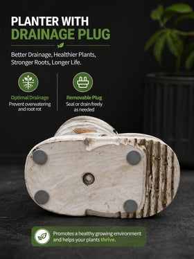 PlotX gnome planter on windowsill showcases small plants with rustic charm.