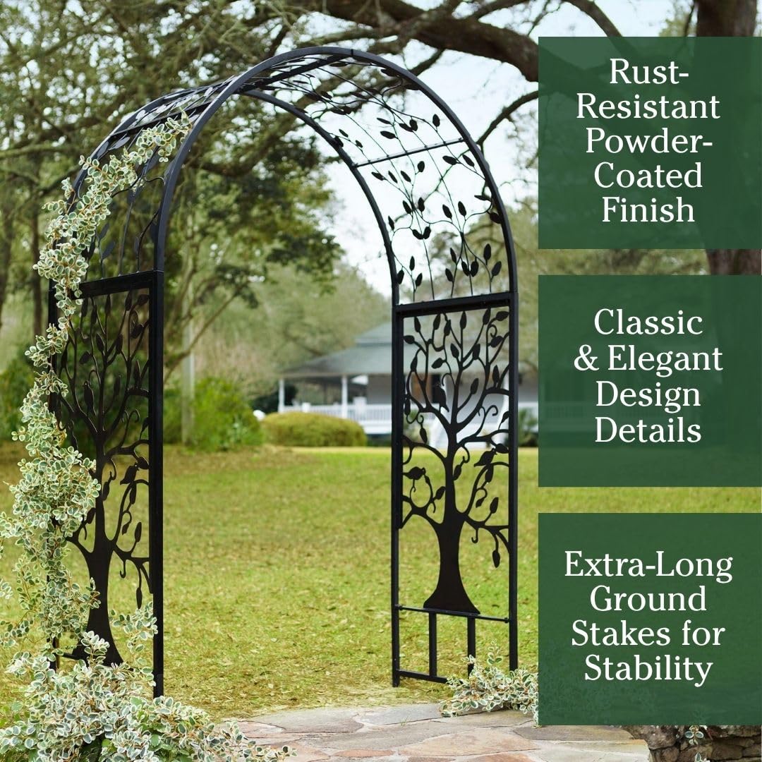 Arbor supporting climbing plants like roses and ivy for lush vertical interest