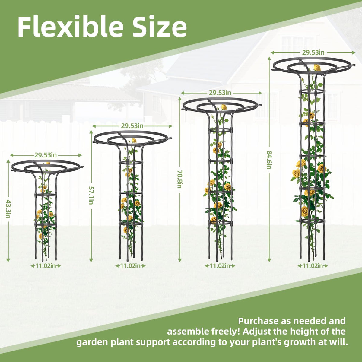 Plus Yard roses and clematis benefit from this climbing support.