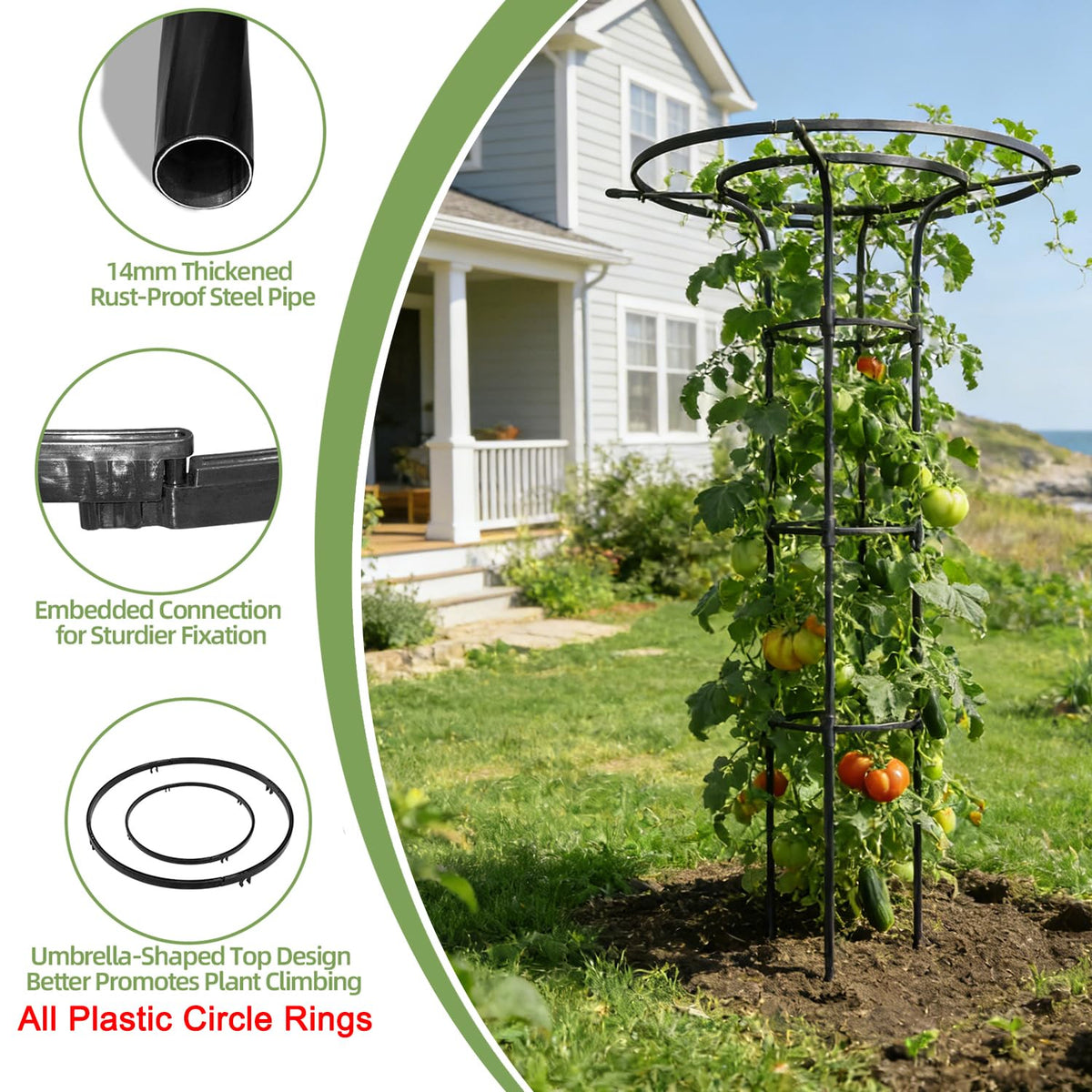 Plus Yard twisted-texture trellis guides vines to prevent tangling.