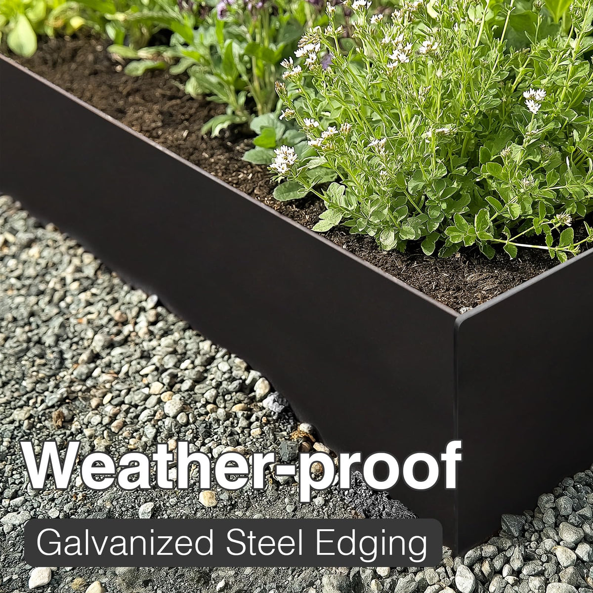 Pmango 5-year support backs outdoor edging performance.