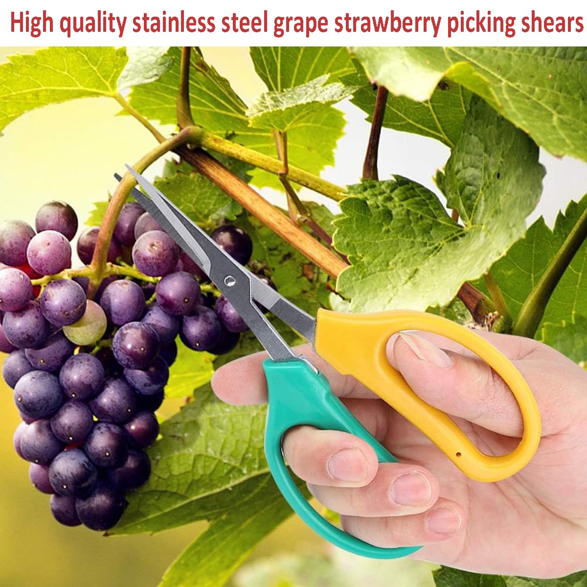 Pobowlgarls garden scissors precision-cut blades for precise harvests and healthy regrowth.