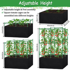 POILKMNI adjustable-height tomato cage adapts to different plant sizes