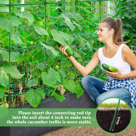 POILKMNI plant support keeps cucumber, tomato, and grape vines stable.