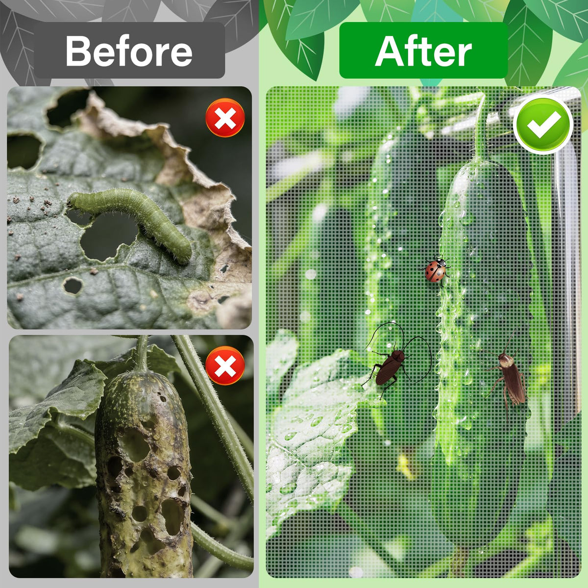 POILKMNI protects plants from birds in outdoor gardens and patios