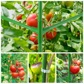 POILKMNI 51x17x49 inch cage dimensions support large tomato vines