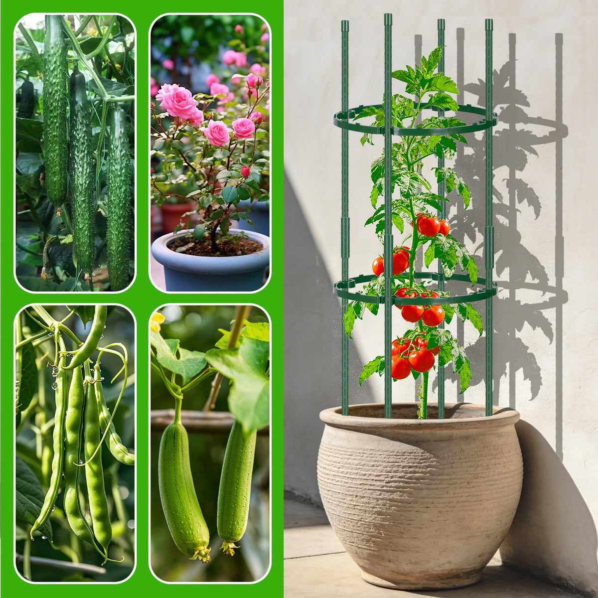 POILKMNI versatile climber support suitable for beans, cucumbers, and peas.