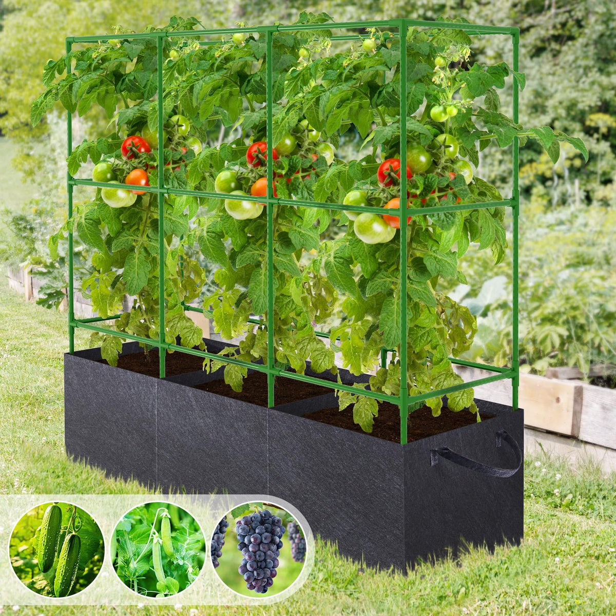 POILKMNI vertical garden setup for tomatoes and cucumbers
