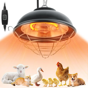 Poiyham 350W heat lamp provides quick coop warmth for chicks